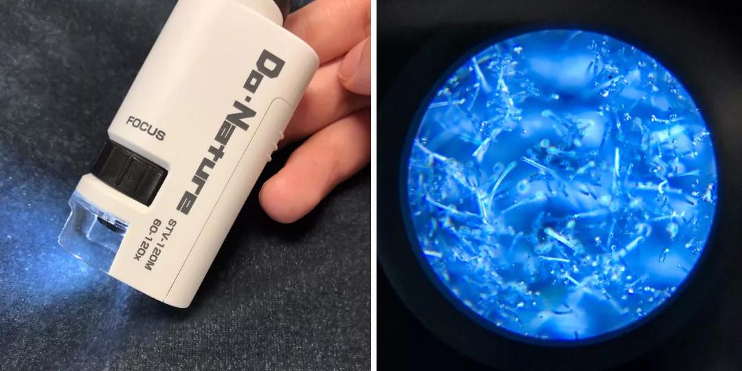 儿童电子显微镜真的1000倍,日本儿童便携显微镜1200倍