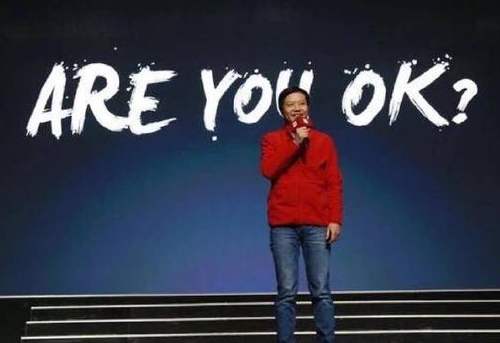 雷军石头科技股票,雷军科创板股权