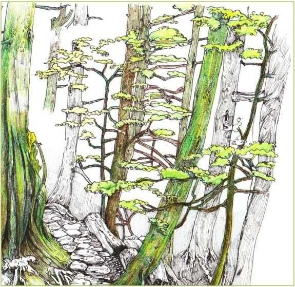 彩铅入门基础教程风景画,彩铅风景画教程简单入门