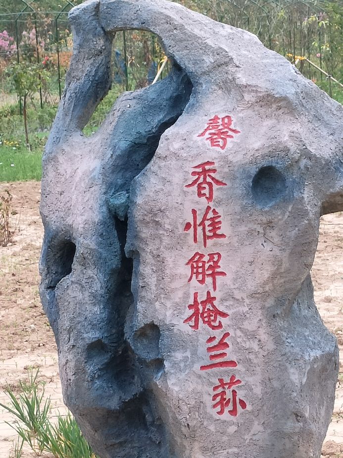 因过竹院逢僧话偷得浮生半日闲,偷得浮生半日闲下一句什么意思