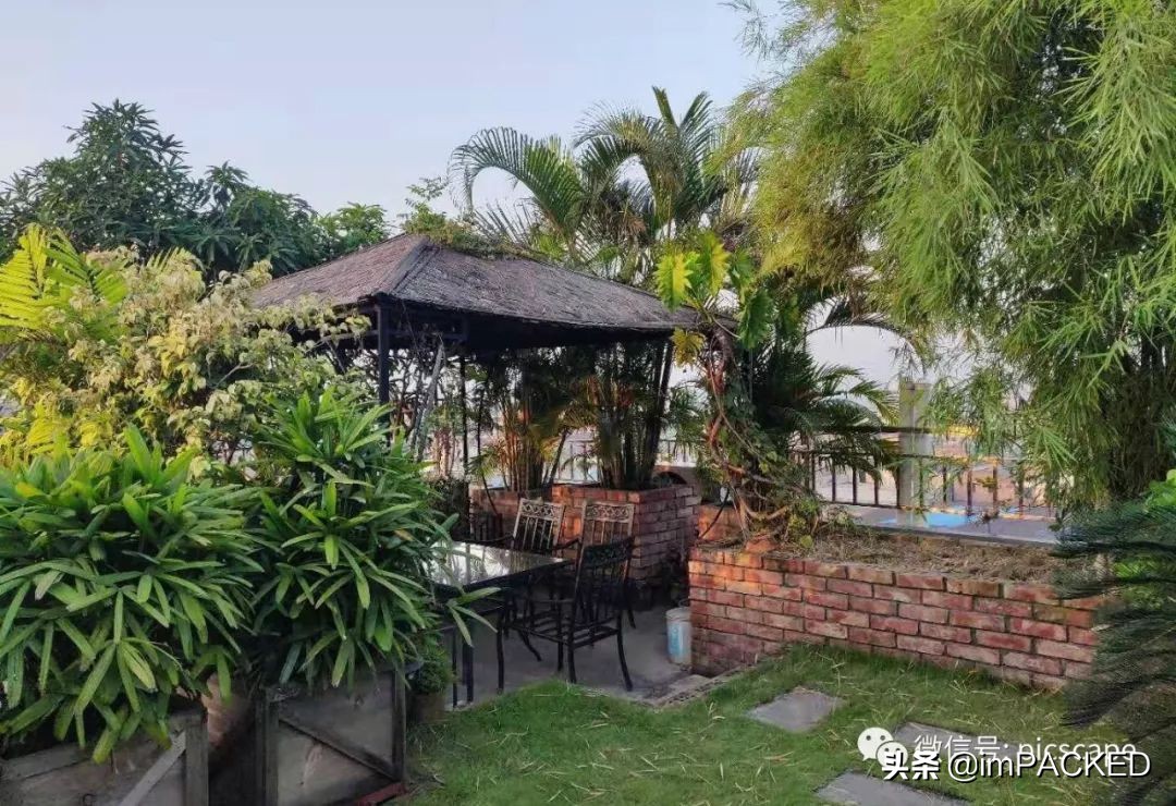 孟加拉国贫困与饥饿如何解决,孟加拉国艰巨的生存之路