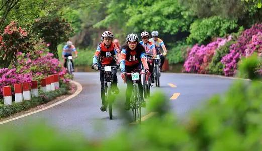 诗词世界杯中华诗词大赛第二名,华夏杯诗词大赛获奖作品欣赏