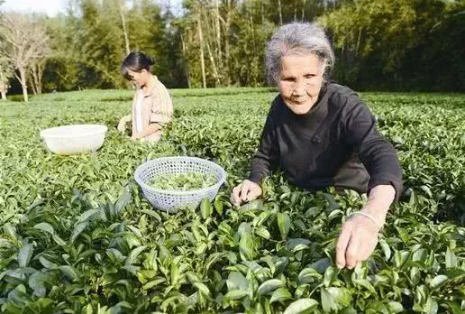 我们都在努力奔跑都是追梦人2020,我们都在努力奔跑我们都是追梦人