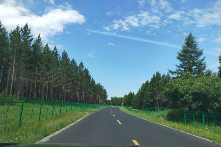 美丽的高岭塞罕坝,美丽的高岭朗诵