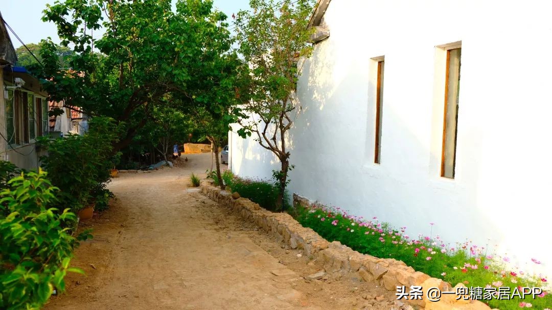 简单零成本改造农村小院,三个多月农家小院改造终于完工