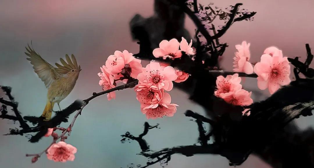 基本面很好股价就是不涨,股票只要有好消息就是跌