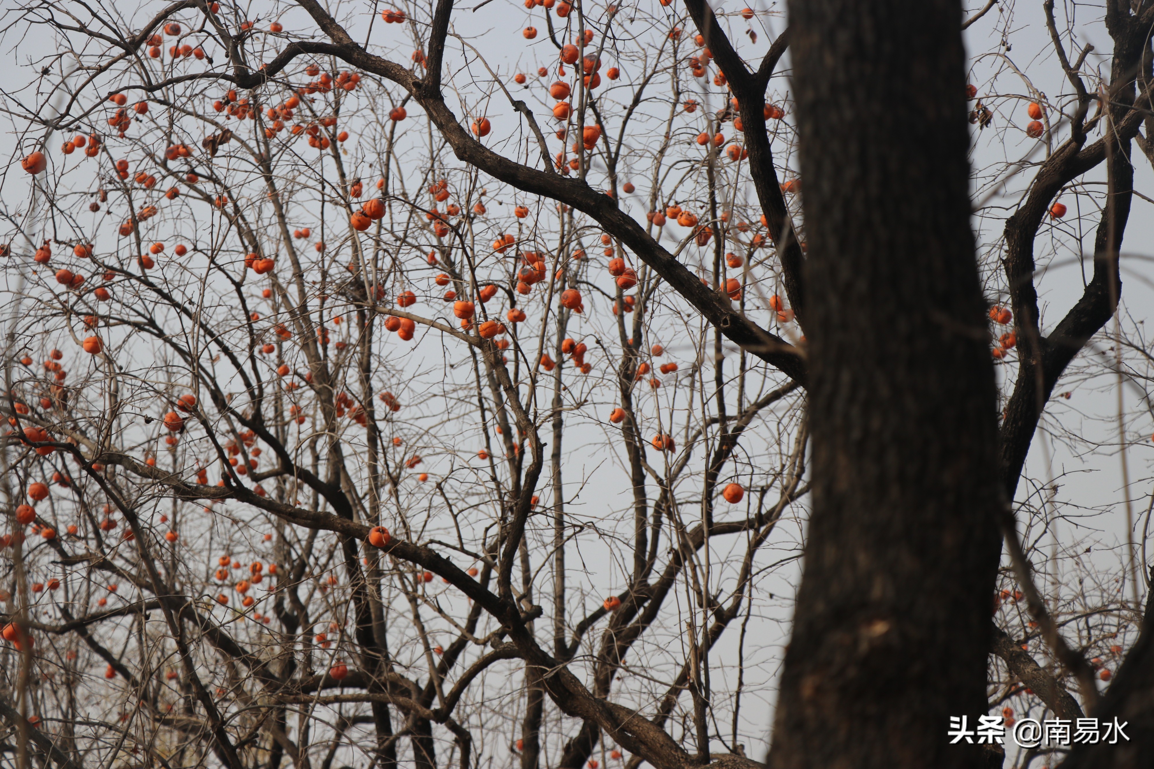 家乡风景带你一起感受自然的味道,令你难以忘怀的家乡的味道