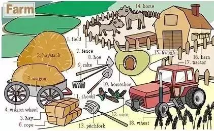 家长收藏孩子受益好物推荐,儿童英语物品词汇大全