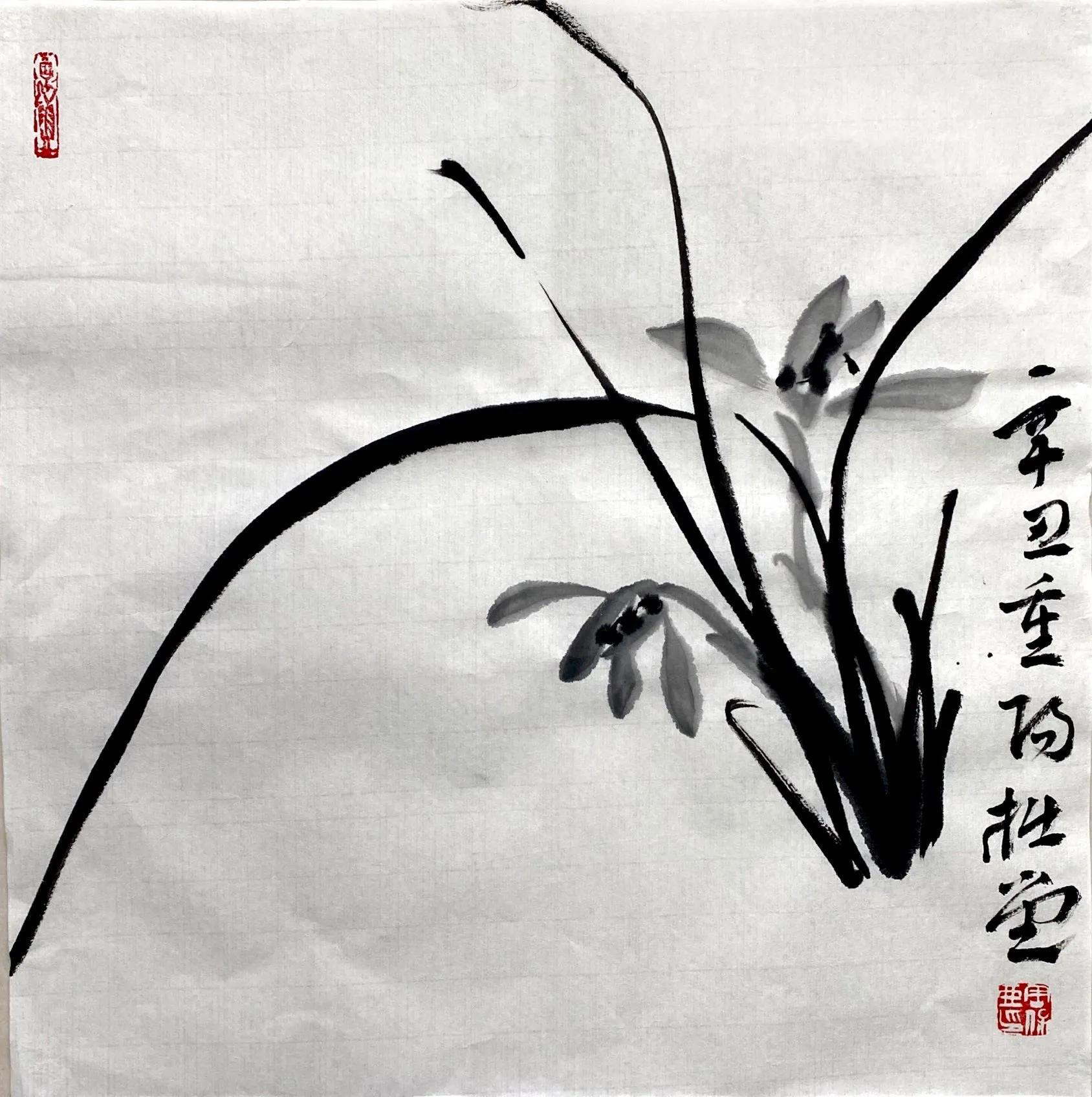 国画写意兰花作品图片欣赏,国画兰花欣赏精品