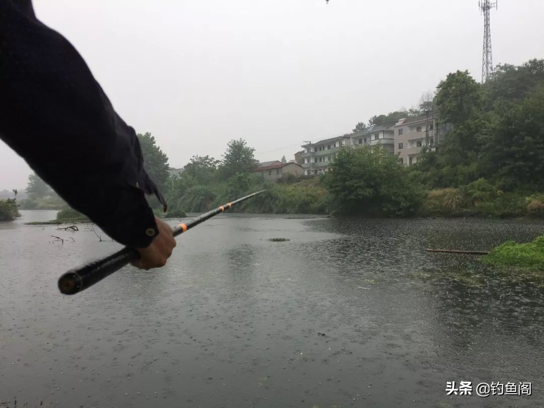 野钓用鲫鱼竿还是综合竿,野钓鲫鱼选鲫鱼竿还是综合竿