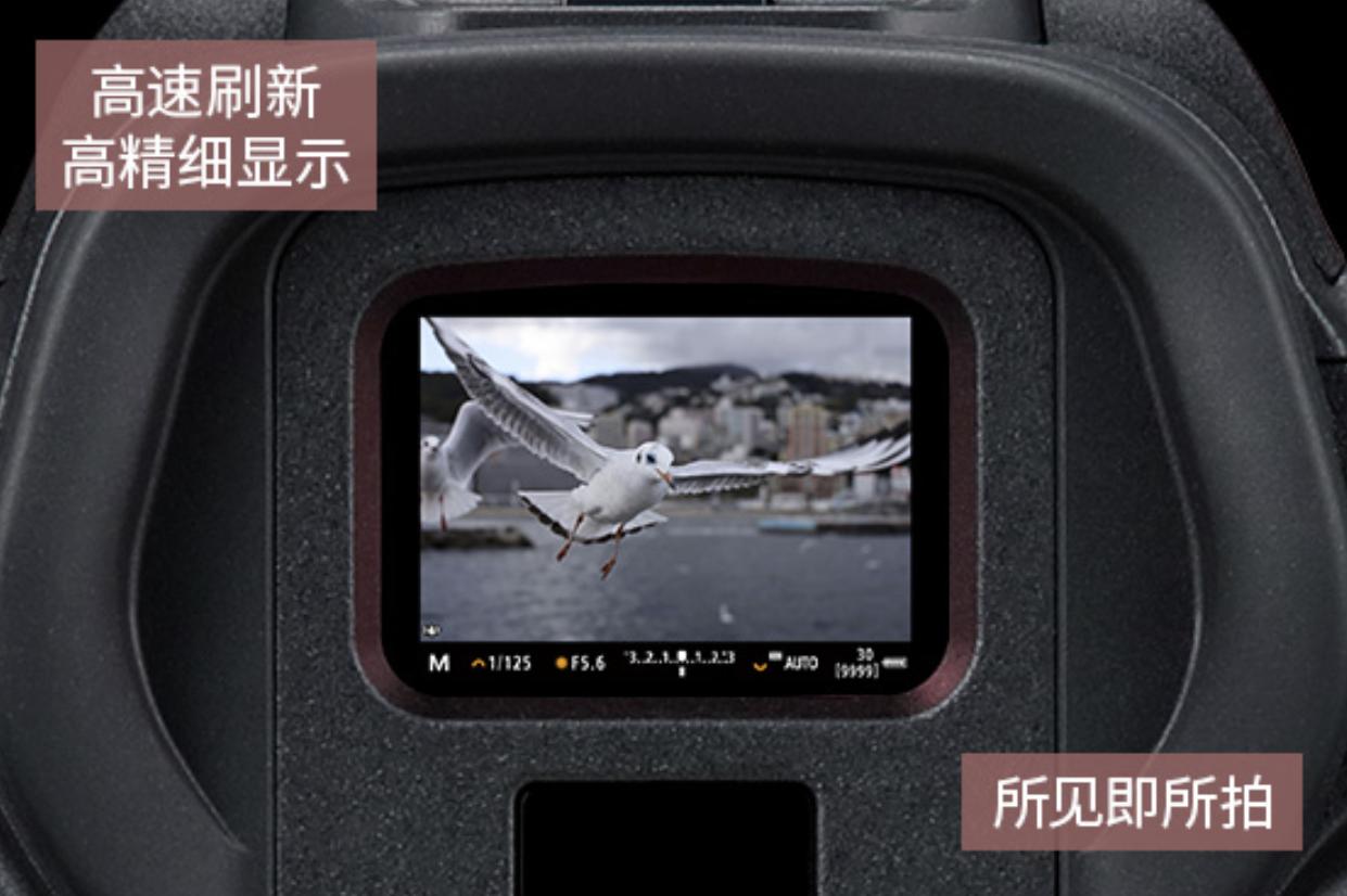 佳能哪款全画幅最值得买,佳能最便宜的全画幅无反相机