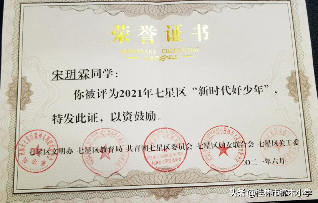 「红色蓓蕾荣誉榜」七星区新时代好少年——宋玥霖