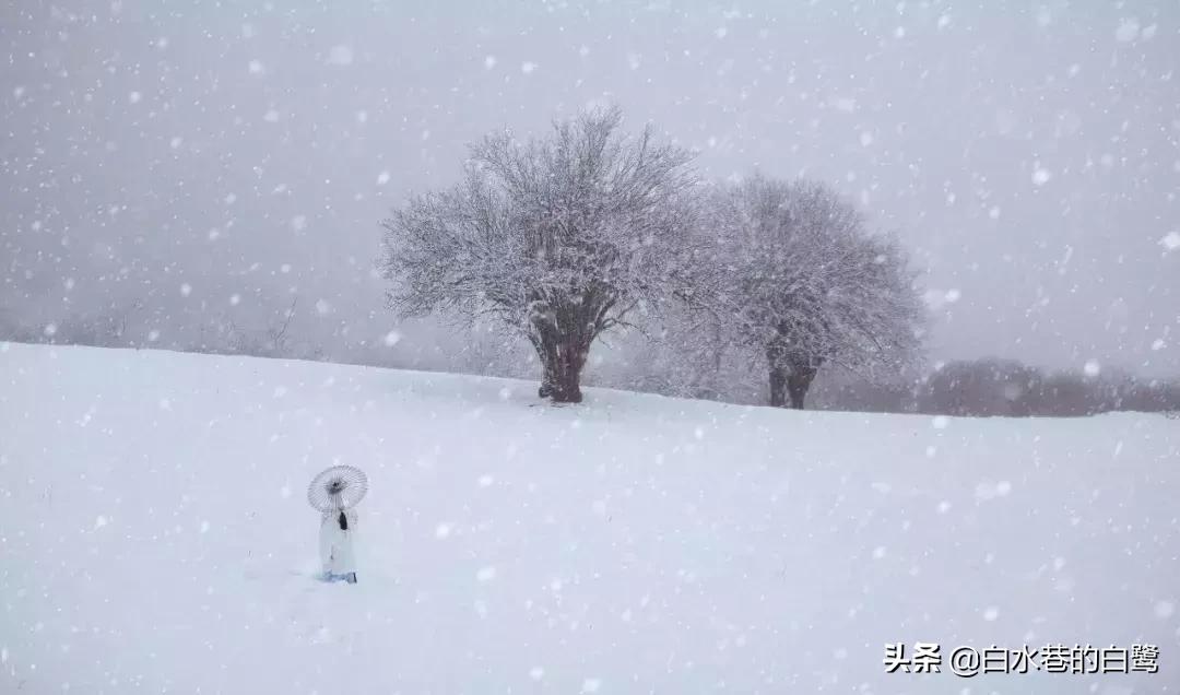 你真的懂什么叫佛系吗,说一个人很佛系怎样理解