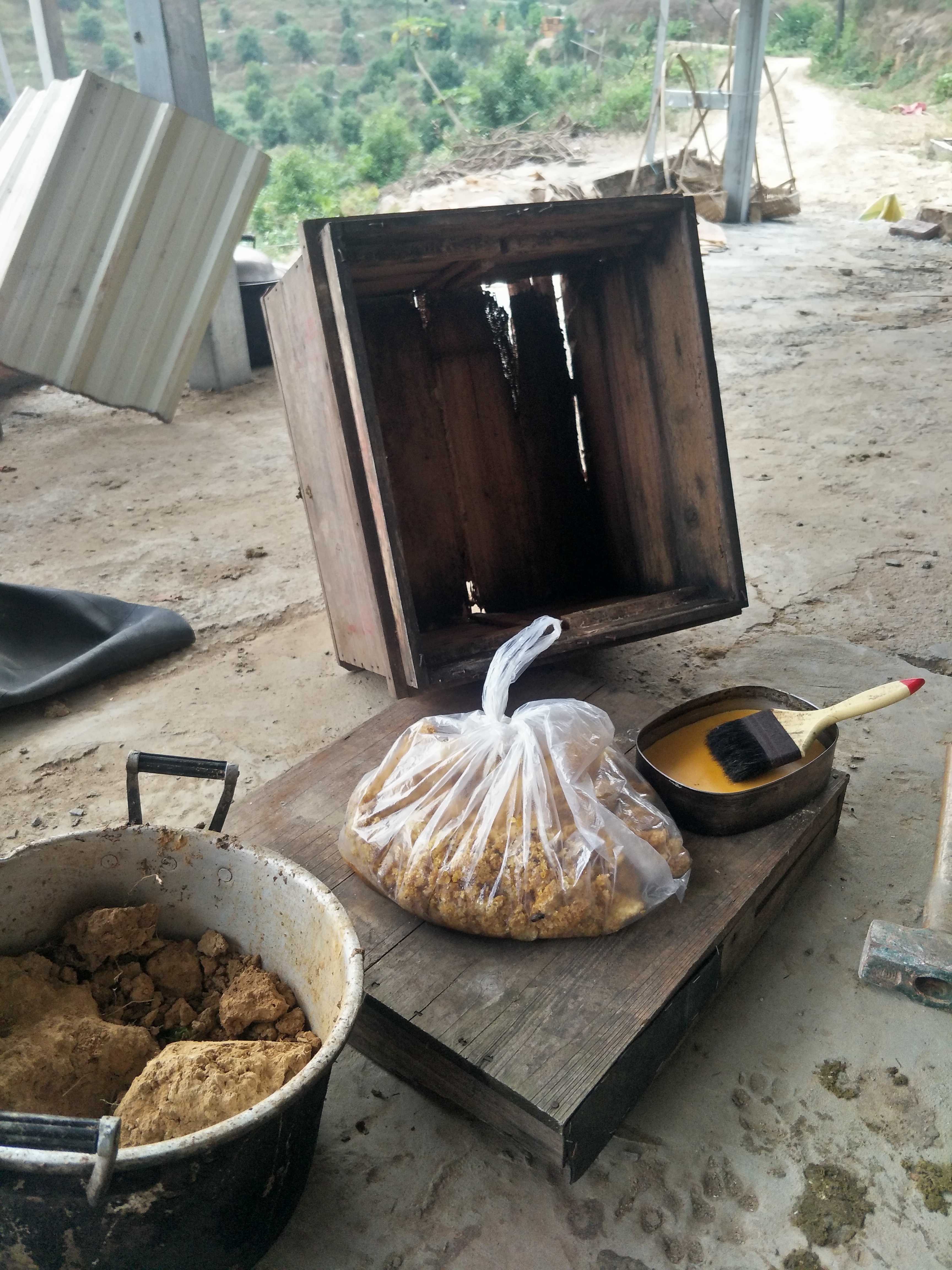 蜂箱养蜂技巧视频教程,养蜂教程讲解蜂箱快速诱蜂