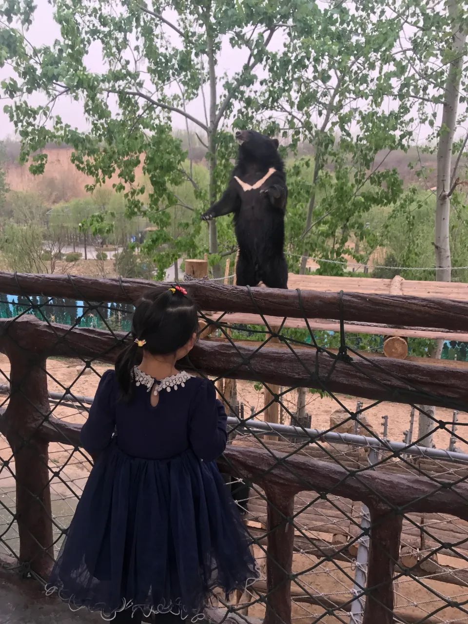 济南亲子遛娃景点排行榜夏季,济南槐荫区遛娃好去处很近的