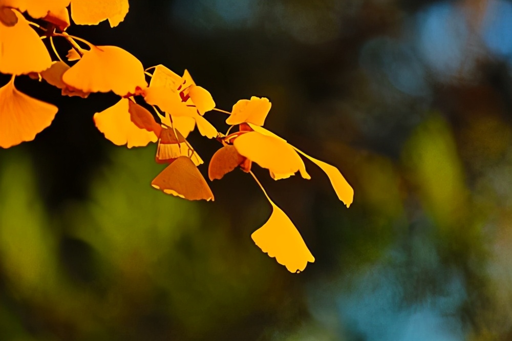 “贪婪之人，一看便知”：本性贪婪之人，有以下几个特征，需认清