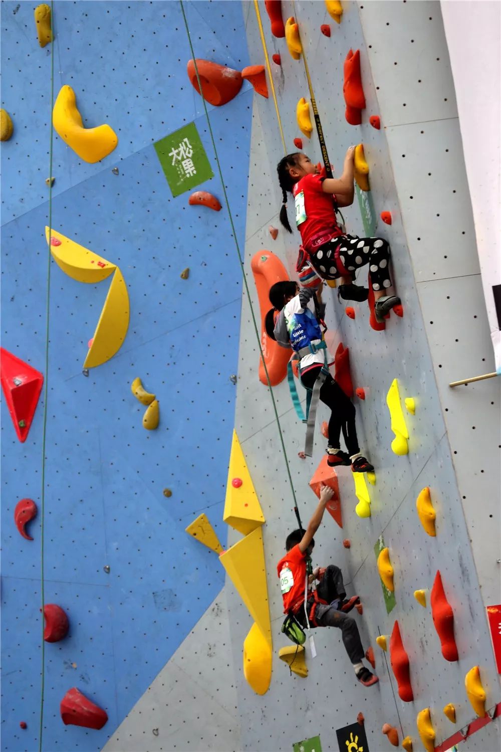 中国攀岩俱乐部联赛成绩,昆明市青少年攀岩锦标赛
