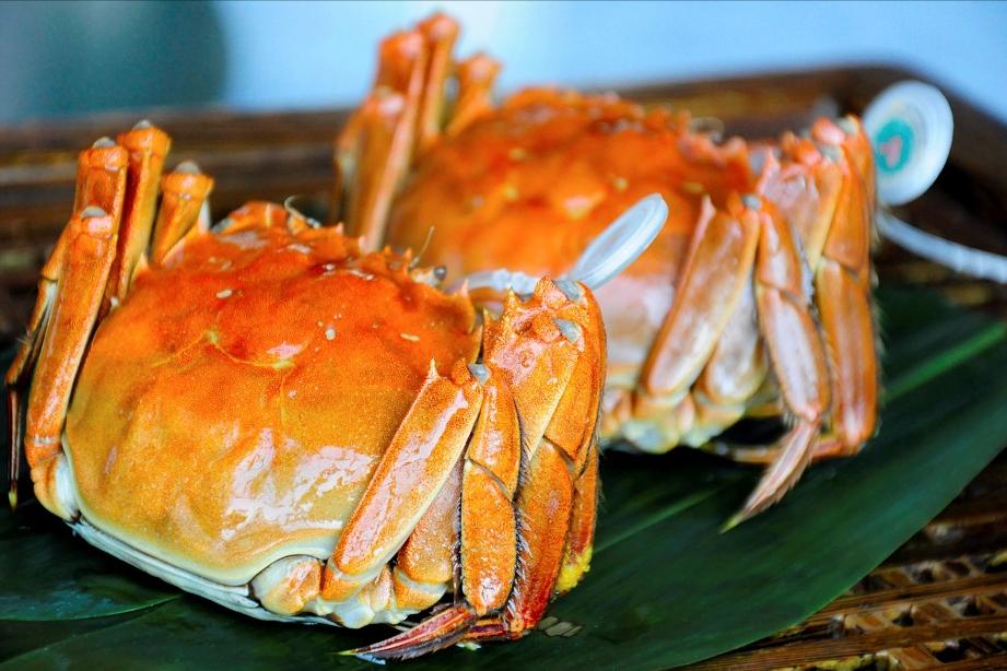 哪里的大闸蟹最正宗好吃,大闸蟹哪里的最正宗最好吃