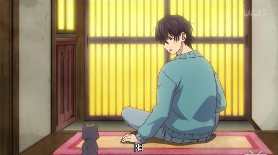 最萌新番,豆瓣8.8最佳纪录片女主