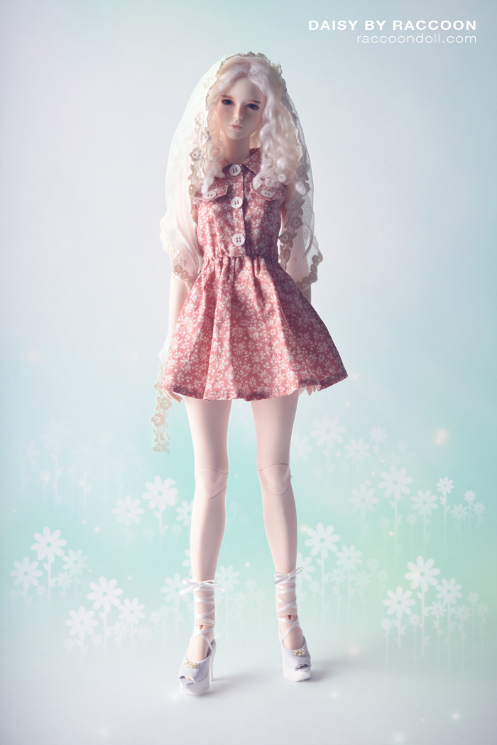 好物分享：韩国BJD娃娃品牌Raccoondoll，浓浓的泡菜味？