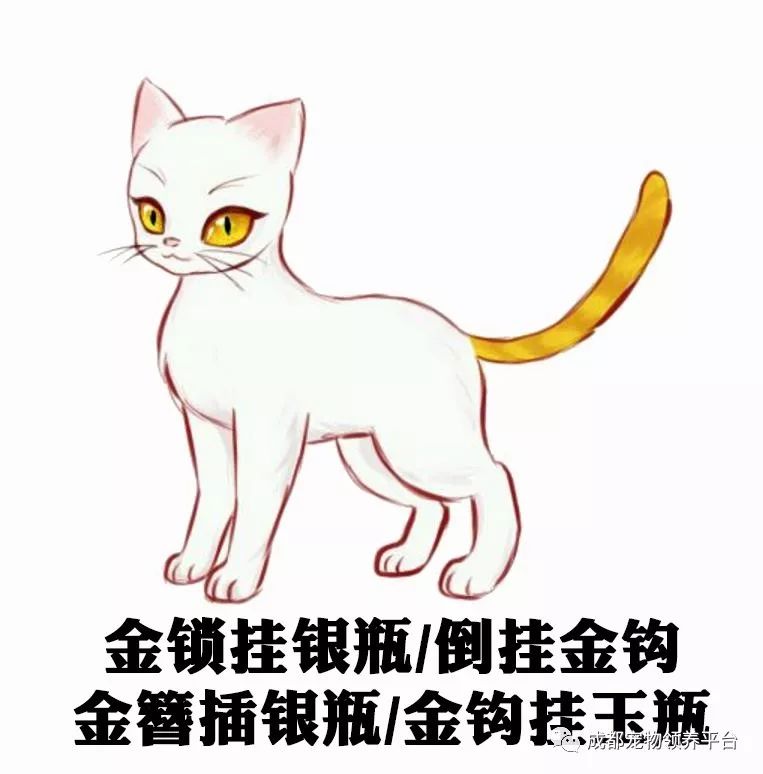 谁说土猫无名猫？快来围观古代猫谱，你家有没有镇宅神兽！