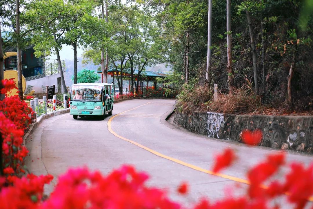 超灵验的姻缘福地！离广州深圳不到一小时，踏青赏花祈福康养首选