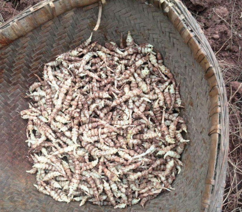 宁夏喜欢吃羊肉,宁夏吃羊肉喝什么