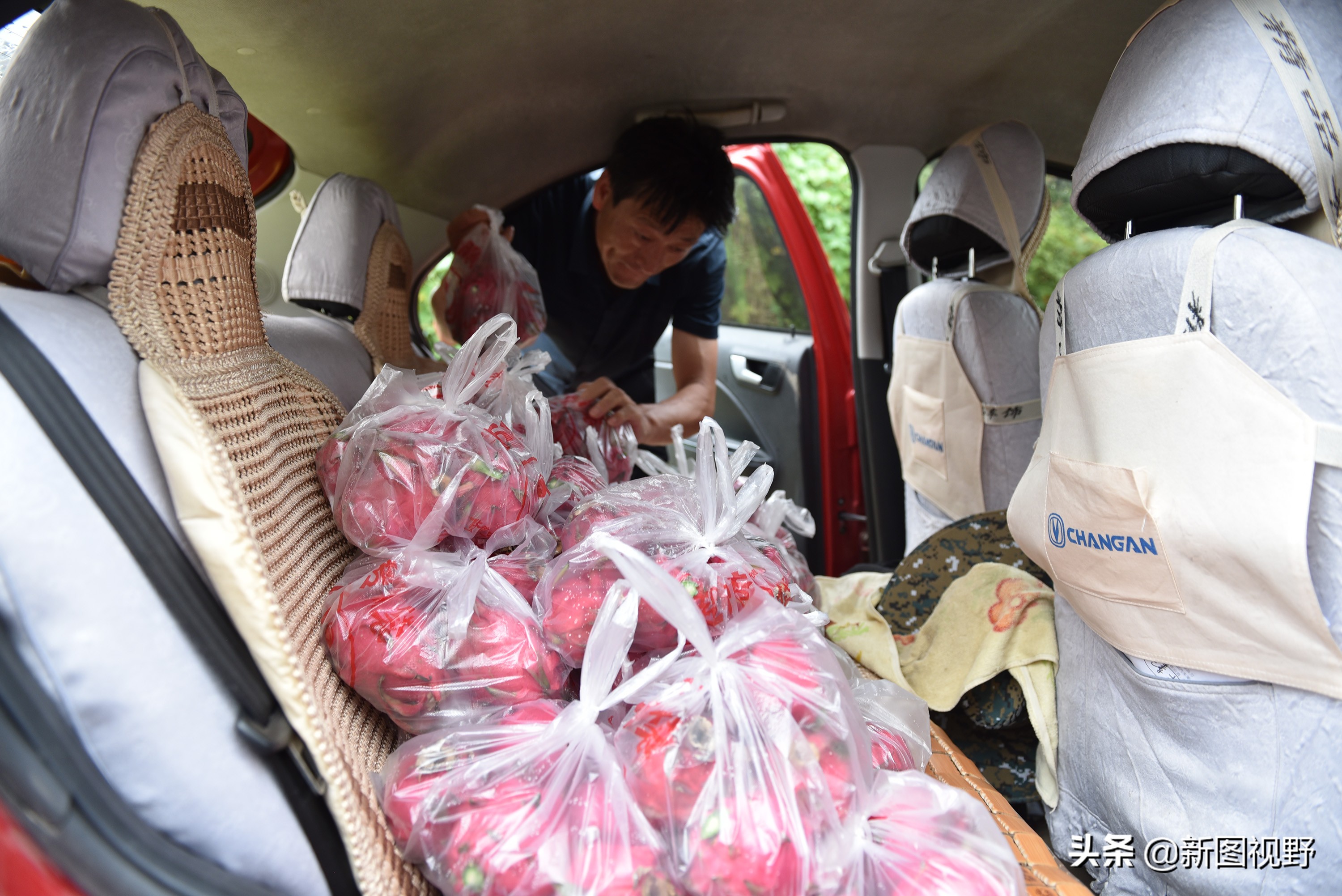 农村大哥吃火龙果,农村大哥种菜一年12万