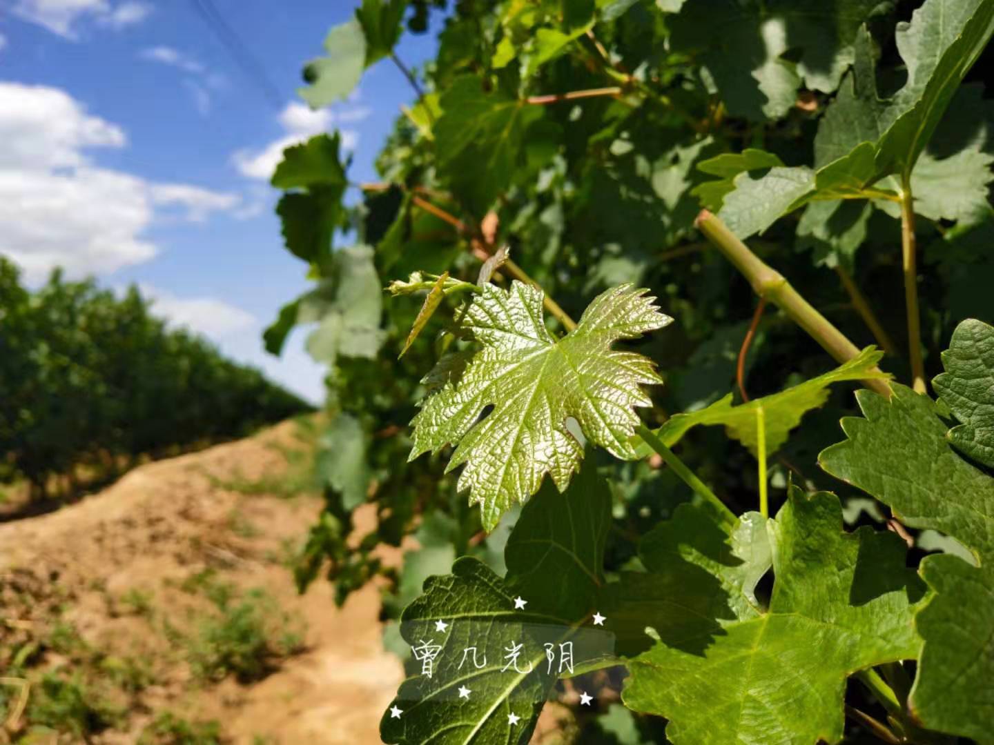 几大靠谱的购酒网店,京东比较靠谱的卖酒的店铺