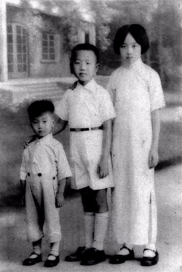 为南开大学捐款的教师,南开大学教授叶嘉莹的坎坷一生