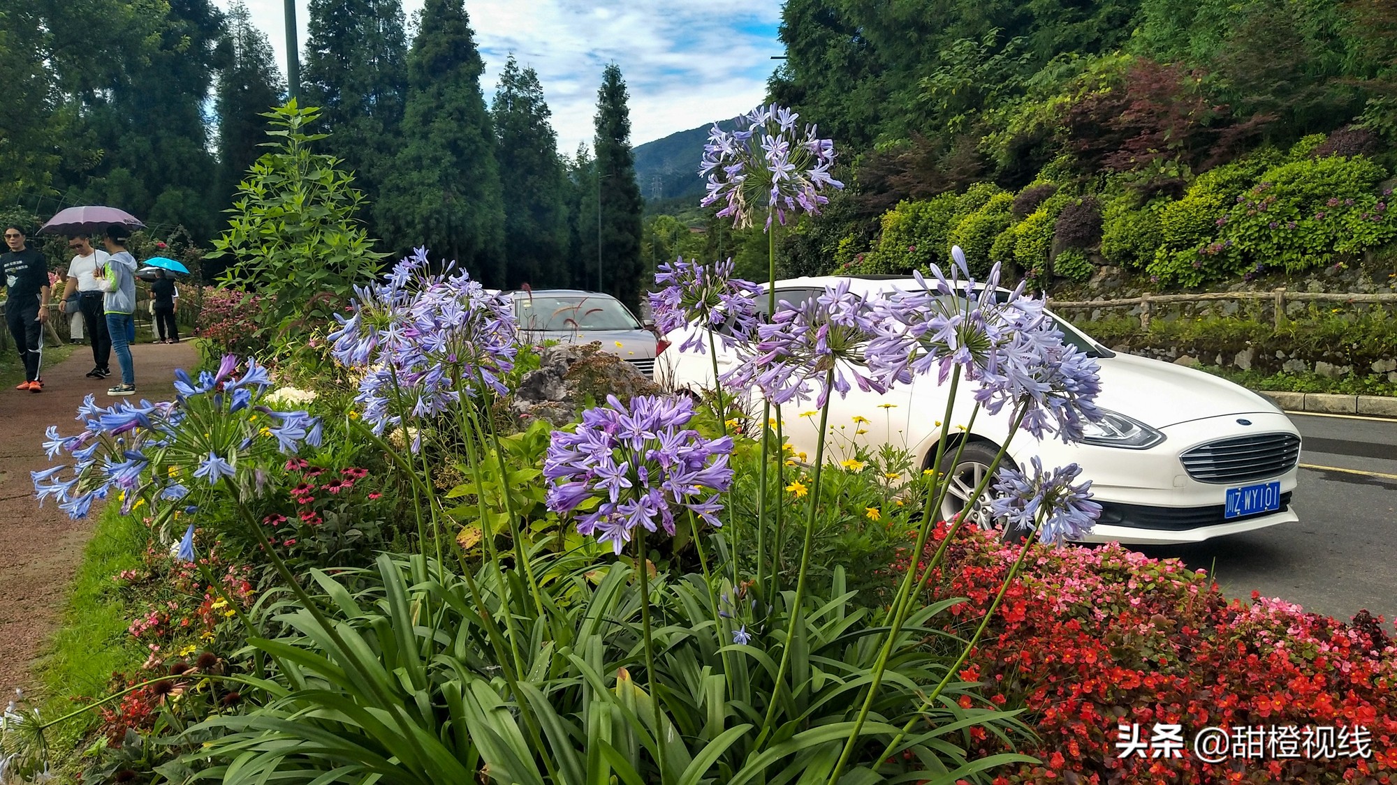 峨眉山七里坪周边旅游攻略,七里坪远看峨眉山金顶