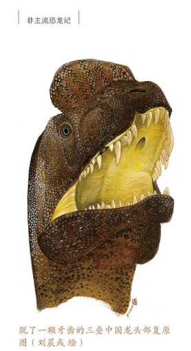 你知道恐龙会腰疼吗？让非主流恐龙记，告诉你这些“冷门”科研