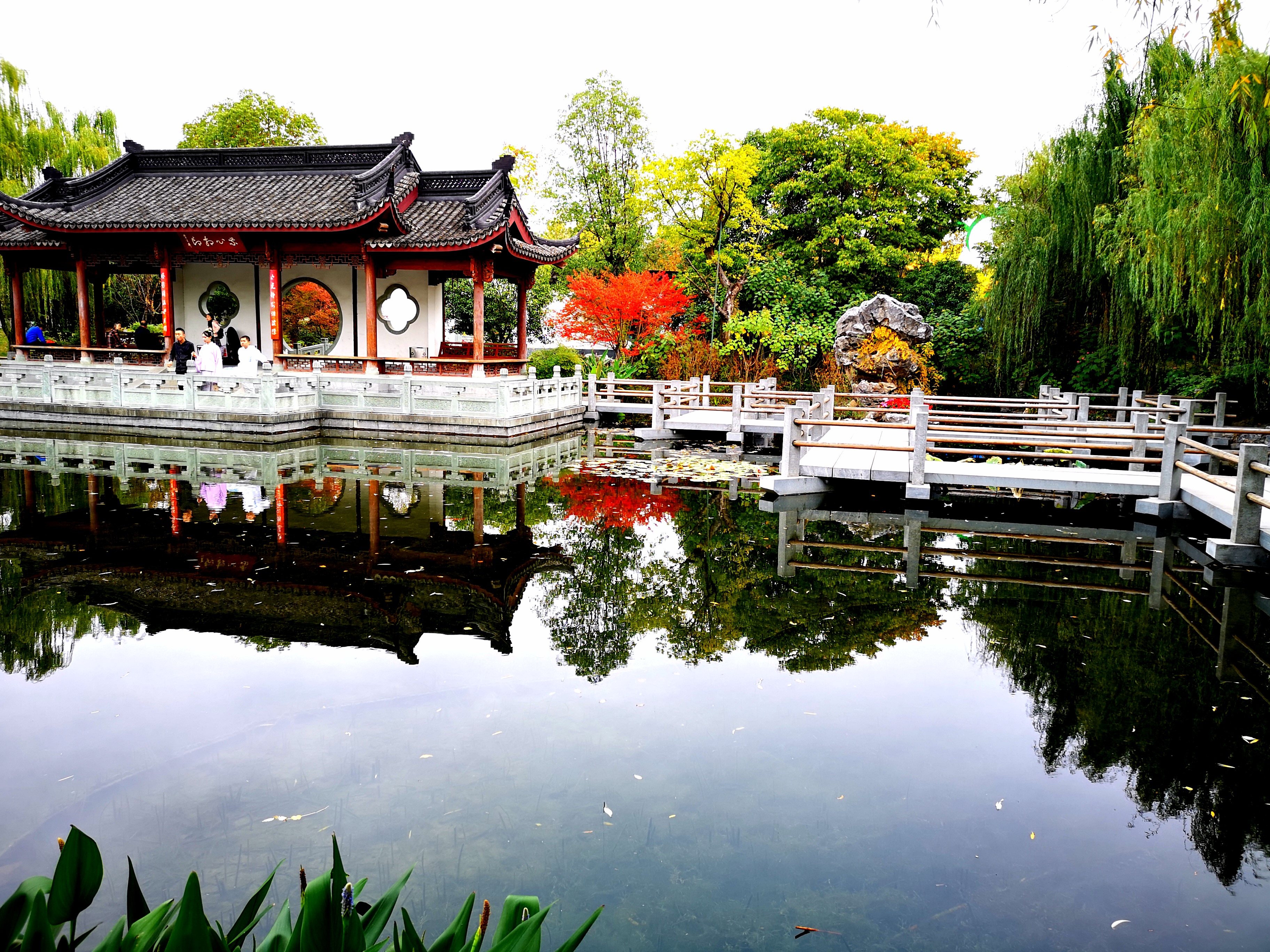 沉睡的历史与惊艳的现实——走读东西湖