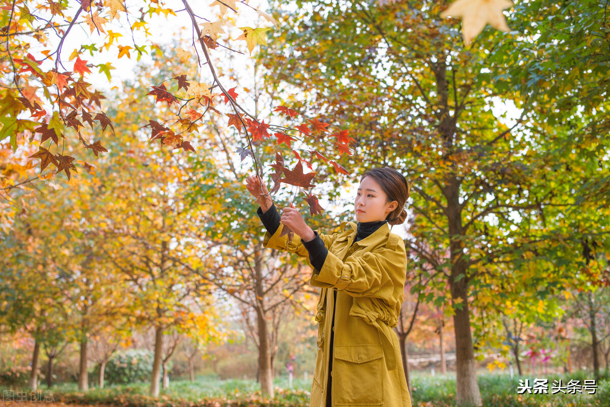又是一季烟雨，妖娆得让你来不及拂去洒落一地的苍凉