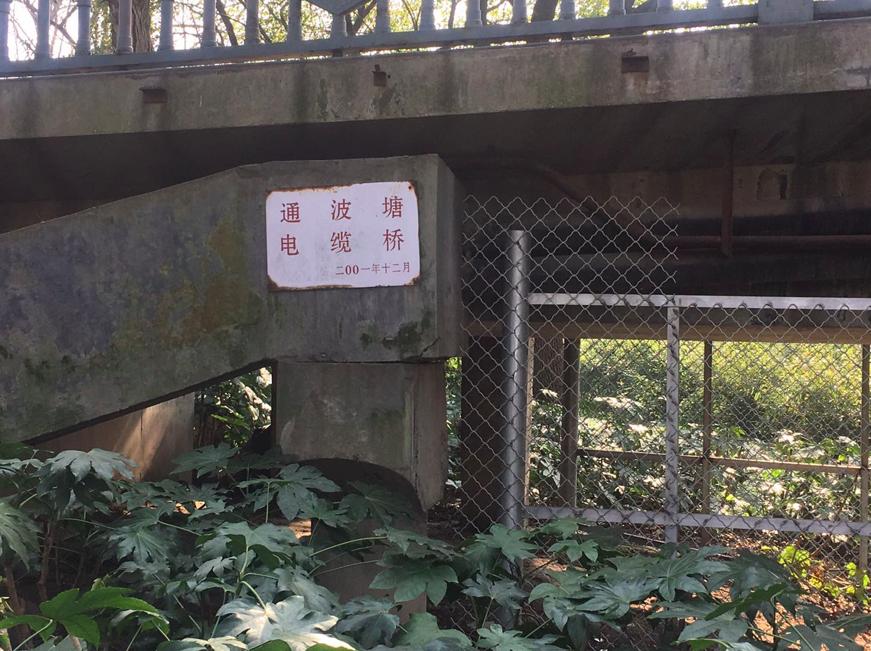 松江河镇夜晚风景,上海松江小镇风景图片