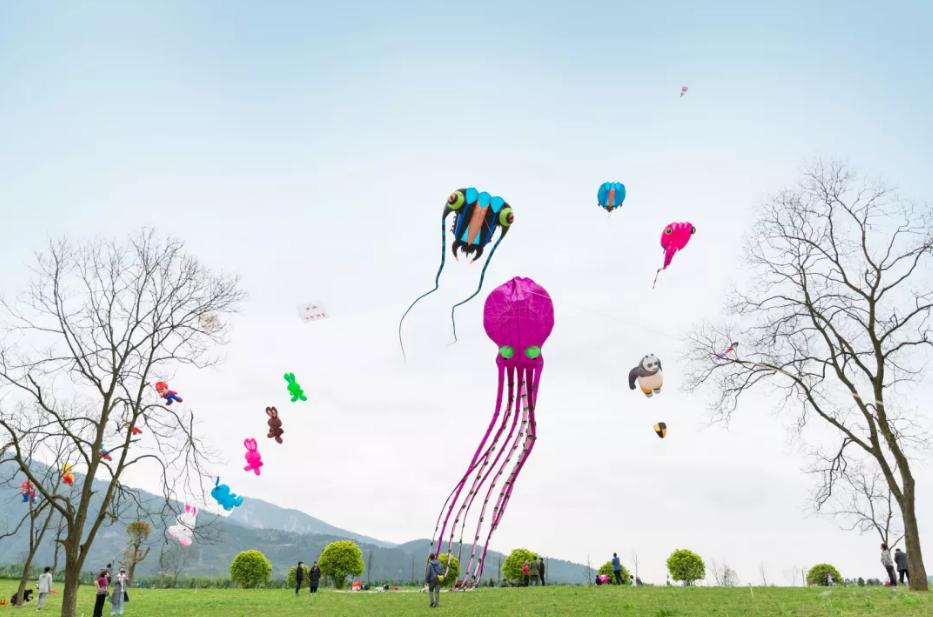 重庆周边游最美的季节赏天坪花海,重庆叠石花谷景区