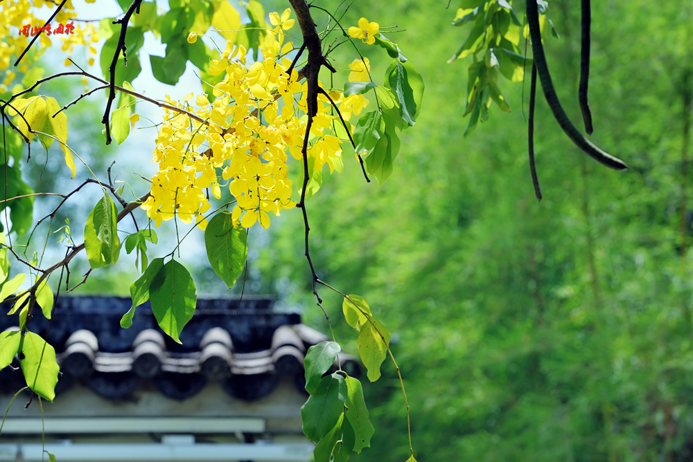 摄影就是记录流逝的时光,摄影捕捉生活的美好瞬间