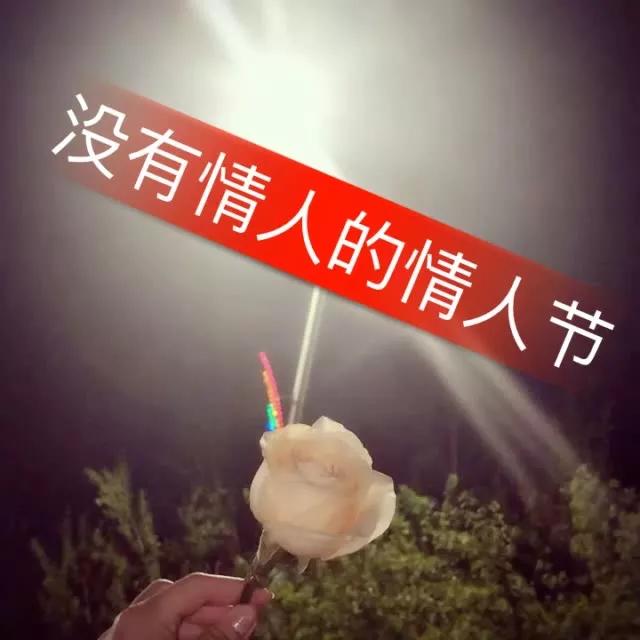 没有情人的情人节现场,没有情人的情人节孟庭苇完整版