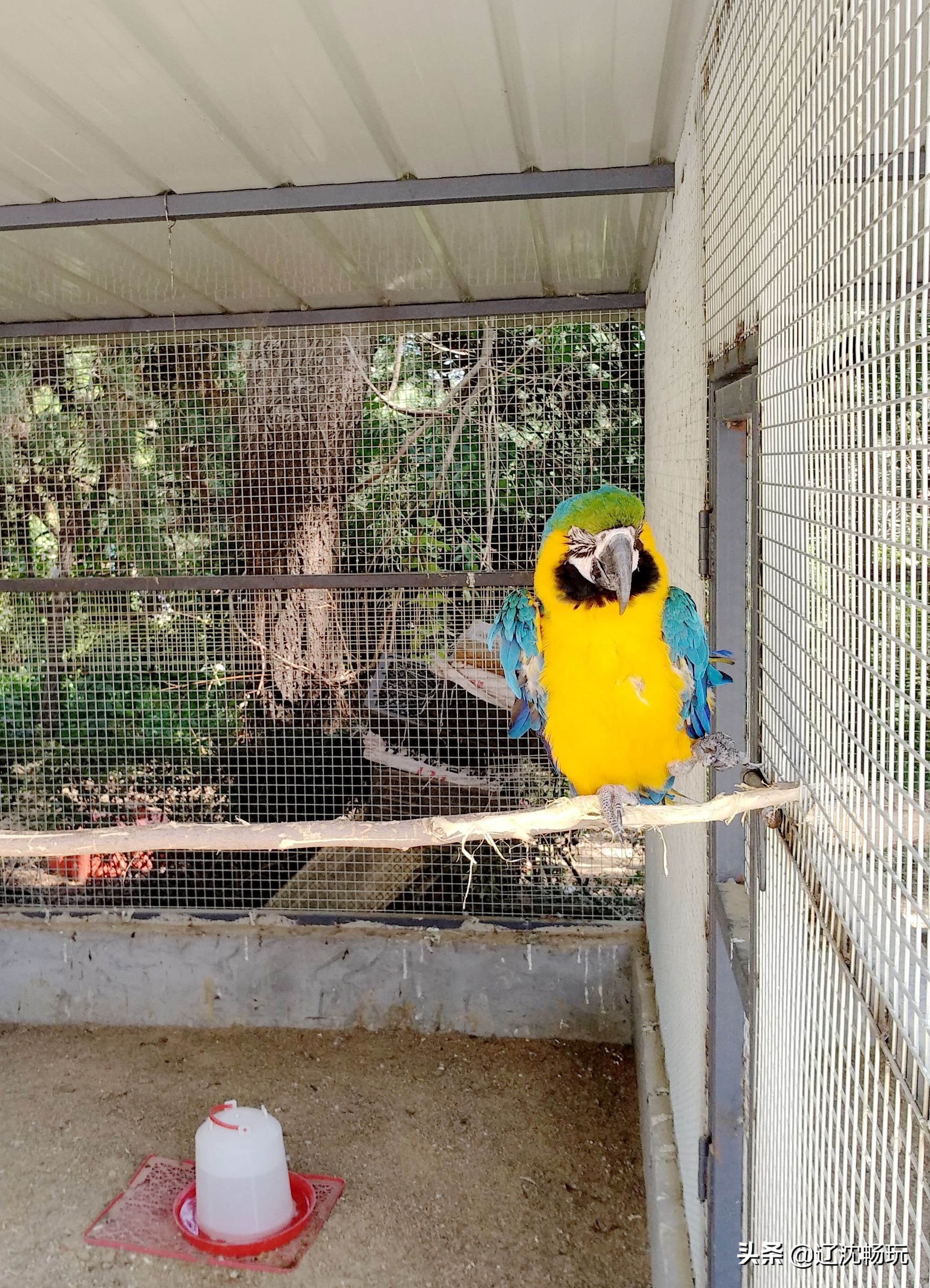 沈阳旅行推荐夏季景点攻略,沈阳冬日周边一日游旅游景点推荐