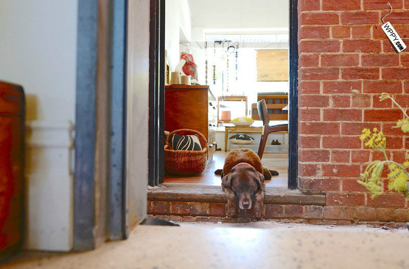 澳洲阿德莱德便宜公寓,澳大利亚阿德莱德别墅楼盘