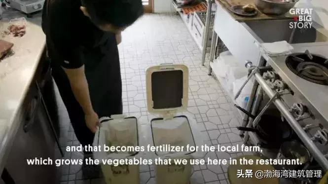 靠捡树叶年入千万的事儿，在日本这个小镇……