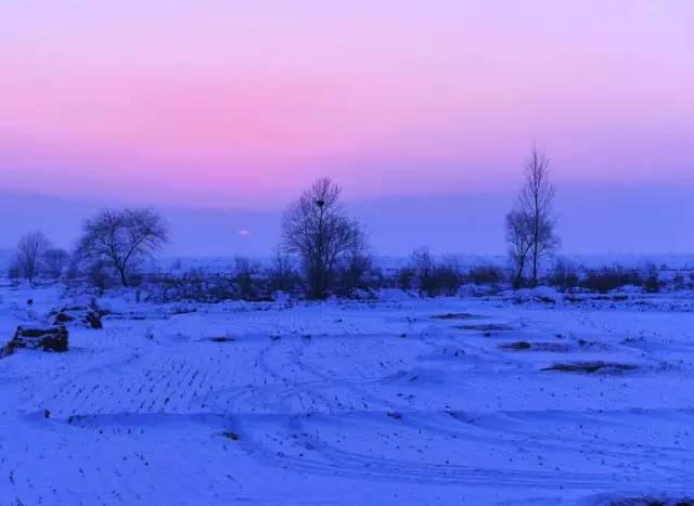 有人问你：哈尔滨哪个区（市）县最大哪个最小？都有啥？你知道不