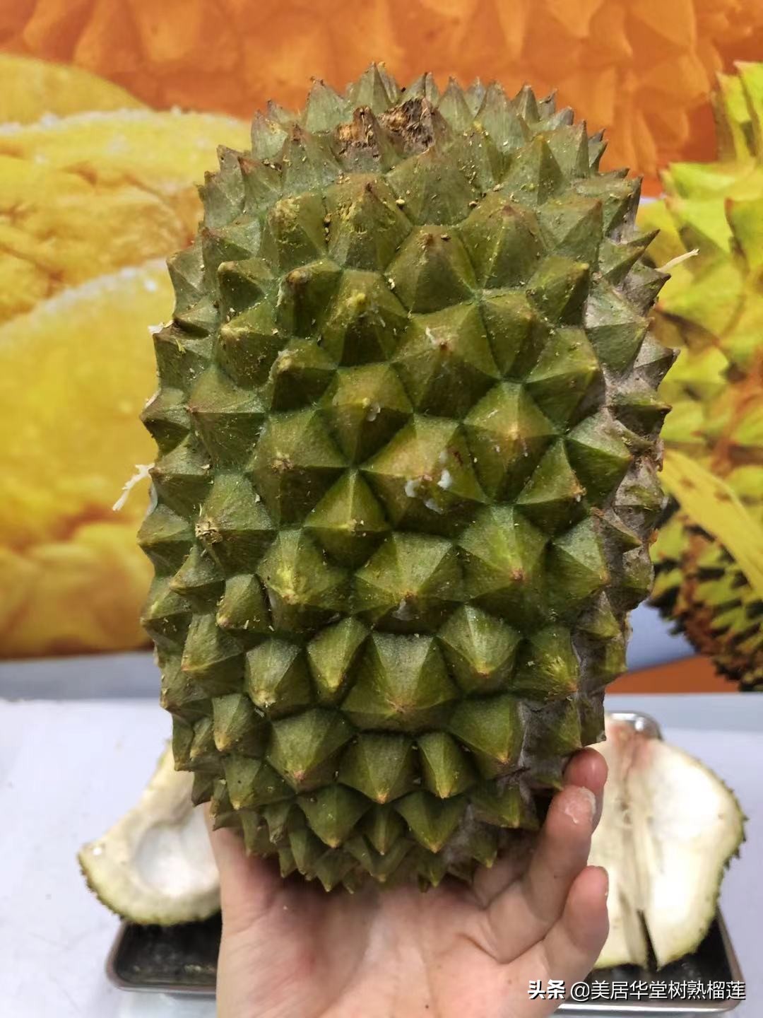 榴莲会缩水吗？亲测两天