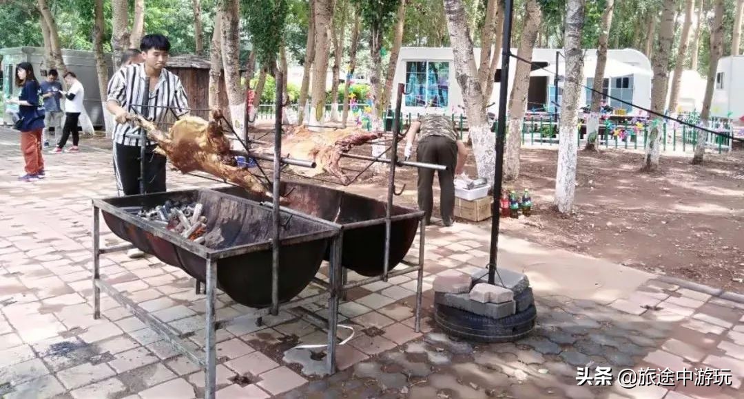 沈阳众力达鸟岛东房车露营地,沈阳宇通房车营地