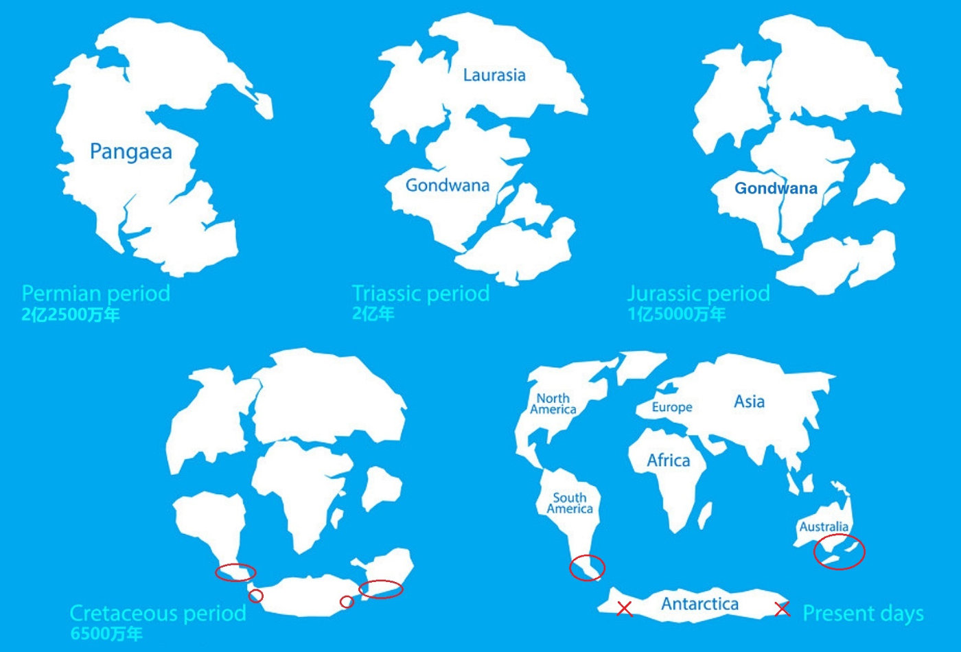新西兰南岛一日游,新西兰南岛旅游地图