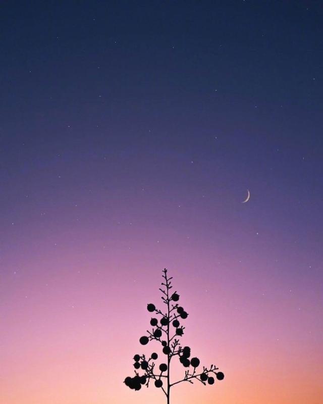 人生的格言句句精辟,最精辟的人生格言句句经典