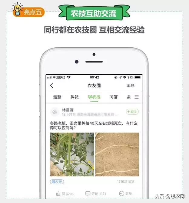 免费农技学堂惠农网,三农网种植技术指南最新版