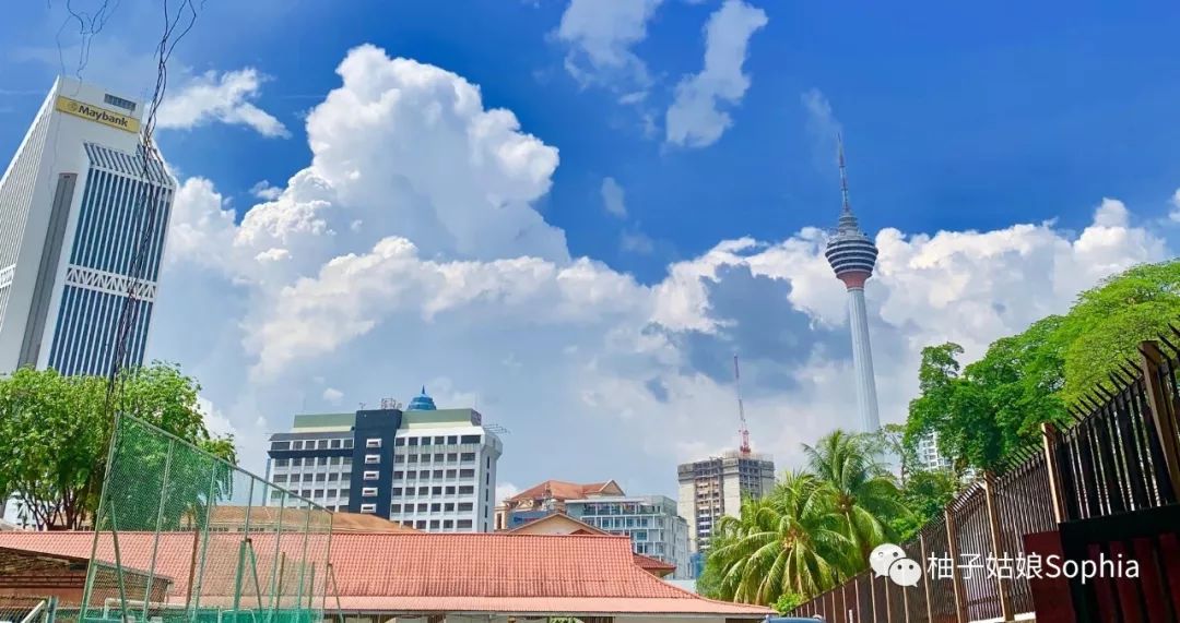 大帅东南亚流浪记,东南亚流浪人视频