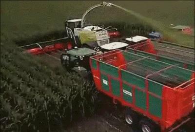 为啥德国拥有2000多个世界名牌,为什么德国有那么多500强