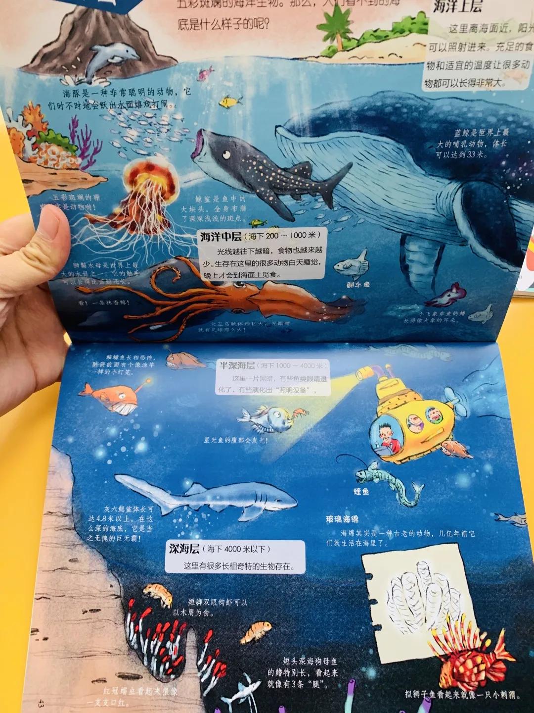 汪涵经典语录完整版,汪涵说要用自己的一生治愈童年